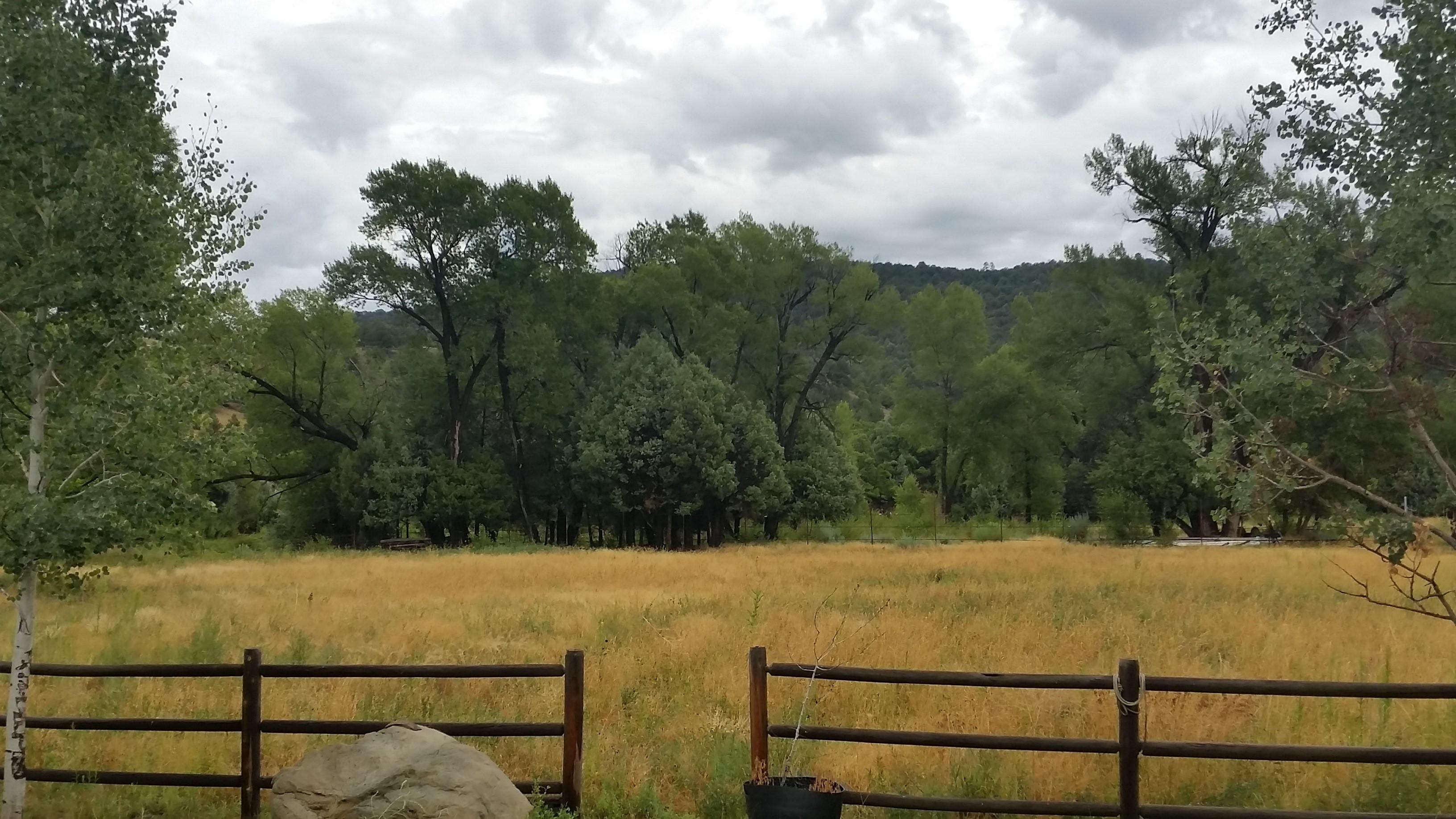 I Just Received an Inheritance… What Now?